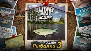 "Мутант" Чир. Колыма. Русская Рыбалка 3.