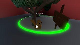 How to get the Squirrel in Creature tycoon