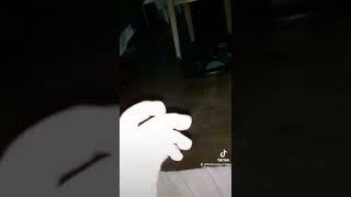WHEN KID FINDS OUT THE TRUE!