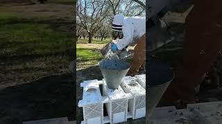 Queen Season is right around the corner! #beekeeping #queenbee