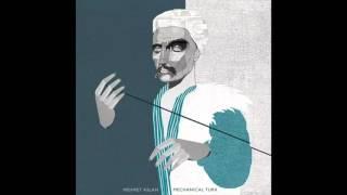 Mehmet Aslan - Hidden