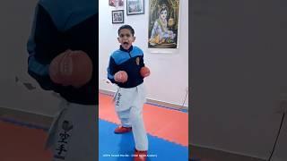 Form Is Temporary But Skill Is Permanent  #shorts #youtubeshorts #karate #punch #viral #fight