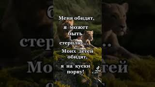 23 июля 2024 г.