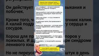 Чернослив каждый день — кишечник скажет спасибо!