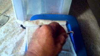 The best way to germinate seeds !