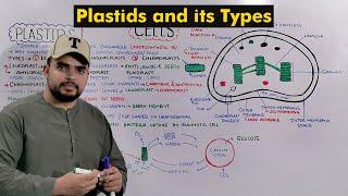 Chloroplast, Chromoplast and Leucoplast (Plastids and its types) Detailed Series