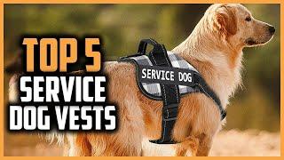 Top 5 Best Service Dog Vests of 2024