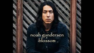 Blossom: Noah Gundersen