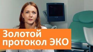 Золотой протокол ЭКО.  ГК Мать и дитя о золотом протоколе ЭКО.