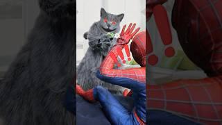 No Way! Oscar Can Make Anything Bigger?! #funnycat #prank #trending