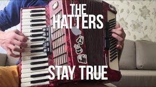 The Hatters - Stay True ( Accordion cover ) | Шляпники - Стэй Тру ( аккордеон кавер )