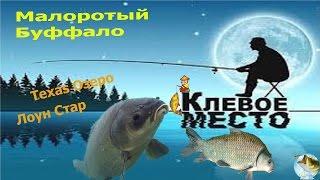 Fishing Planet.Texas Озеро Лоун Стар. Малоротый Буффало. как ловить? где ловить?