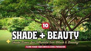 Transform Your Yard: 10 Shade Trees for Ultimate Sun Block & Beauty! 