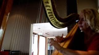 Svitlana plays on harp fantasies on Mozart