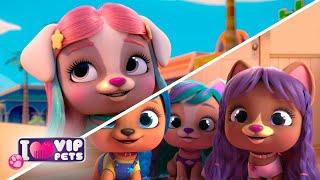  DEFINITIVE LOOKS  COLLECTION  VIP PETS   HAIRSTYLES ‍️ Full Episodes For KIDS in ENGLISH