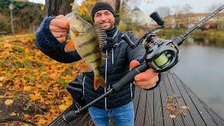 Barschangeln mit Free-Rig und Hardbaits in der Stadt im Winter ️