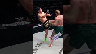 Muay Thai Knockout! Brutal Body Shots & Fight-Ending Blows
