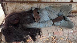 10-Year Hair Journey of a Homeless Boy – INSANE Before & After