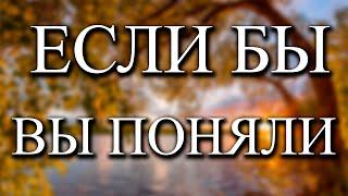 Оставьте все в покое и начнет происходить нечто