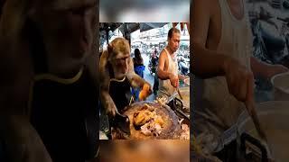  Monkey Chef Butchering Chicken Like a Pro!  | Shocking Street Food  @monkeychefstreetfood