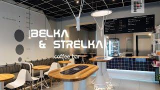 Interior design for Belka & Strelka coffee shop by Planar design