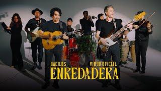 Bacilos - Enredadera (Video Oficial)