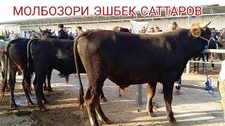 НОХИЯИ ДУСТИ МОЛБОЗОРИ ЭШБЕК САТТАРОВ 08.09.2024.г