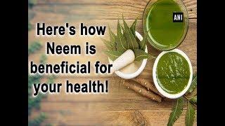 Here's how Neem is beneficial for your health!