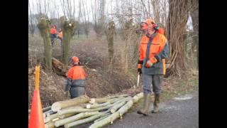 Wilgen knotten Laarbeeks Landschap Eco-touristfarm De Biezen