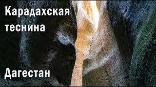 Карадахская теснина. Дагестан. #карадахскаятеснина #карадах #дагестан