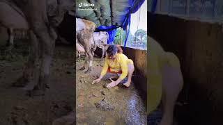 Renuka Playing With Cow Dung Slop