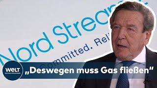 NORD STREAM 2: Altkanzler Schröder sieht Pipeline "in hohem Interesse" Europas | WELT Interview