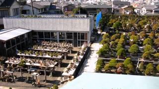 Taisho-en Bonsai Garden 2012 By Jose Acuña, Centro Bonsai Tenerife