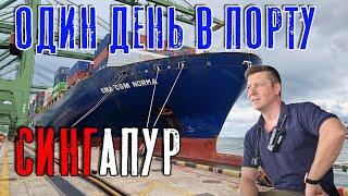 One day at Singapore for container ship. High intensity! (Max Master Daily ep.27)
