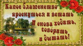 Какое БЛАЖЕНСТВО Проснуться и Встать… и СНОВА Ходить, Говорить и Дышать! На Позитивной волне!)