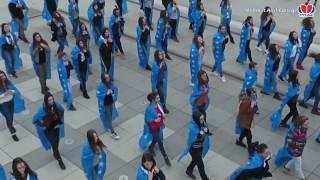 9 Vjetori i Pavarësisë së Kosovës Mehmet Akif College - Flash Mob