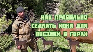 Как седлать коня для поездки верхом в горах