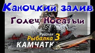 Кроноцкий залив/Голец носатый/Квест гольцы/РР3 [ Русская рыбалка 3]