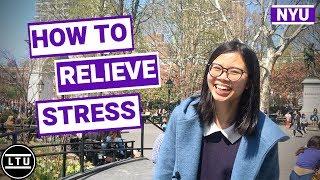 NYU Students' Stress Relief Secrets - New York University - Campus Interviews - LTU