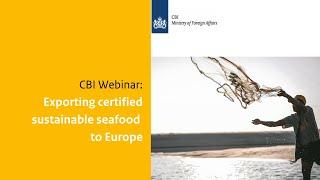 CBI Webinar: Exporting certified sustainable seafood to Europe