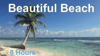 Relaxing 8 Hour Video of A Tropical Beach with Blue Sky White Sand and Palm Tree