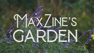 MaxZine's Garden