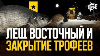 Закрываем трофеев и Вечерний Лайт №1 (лещ восточный) ● Русская рыбалка 4 ● Перчик РР4