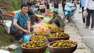 Experience harvesting persimmons in my village. Robert | Green forest life