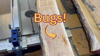 Heat Sterilize Wood to Kill Bugs!