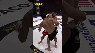  Стойка, перевод, контроль: Ачмиз дежурно разобрался с Керимовым #ufc #mma