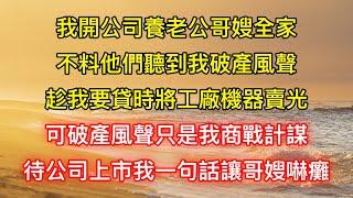 我開公司養老公哥嫂全家，不料他們聽到我破產風聲，趁我要貸時將工廠機器賣光，可破產風聲只是我商戰計謀，待公司上市我一句話讓哥嫂嚇癱