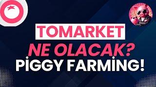 TOMARKET GİDİŞATI NOLACAK? FARMİNG YAPMAK KAZANDIRIR MI?