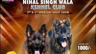 Nihal Singh wala dog show