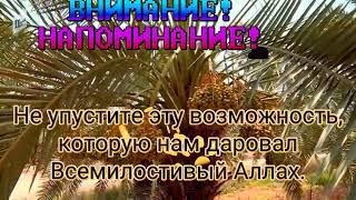 Вблагословенные месяцы Раджаб,Шабан иРамадан мы имеем возможность заслужить особую награду отАЛЛАХА.